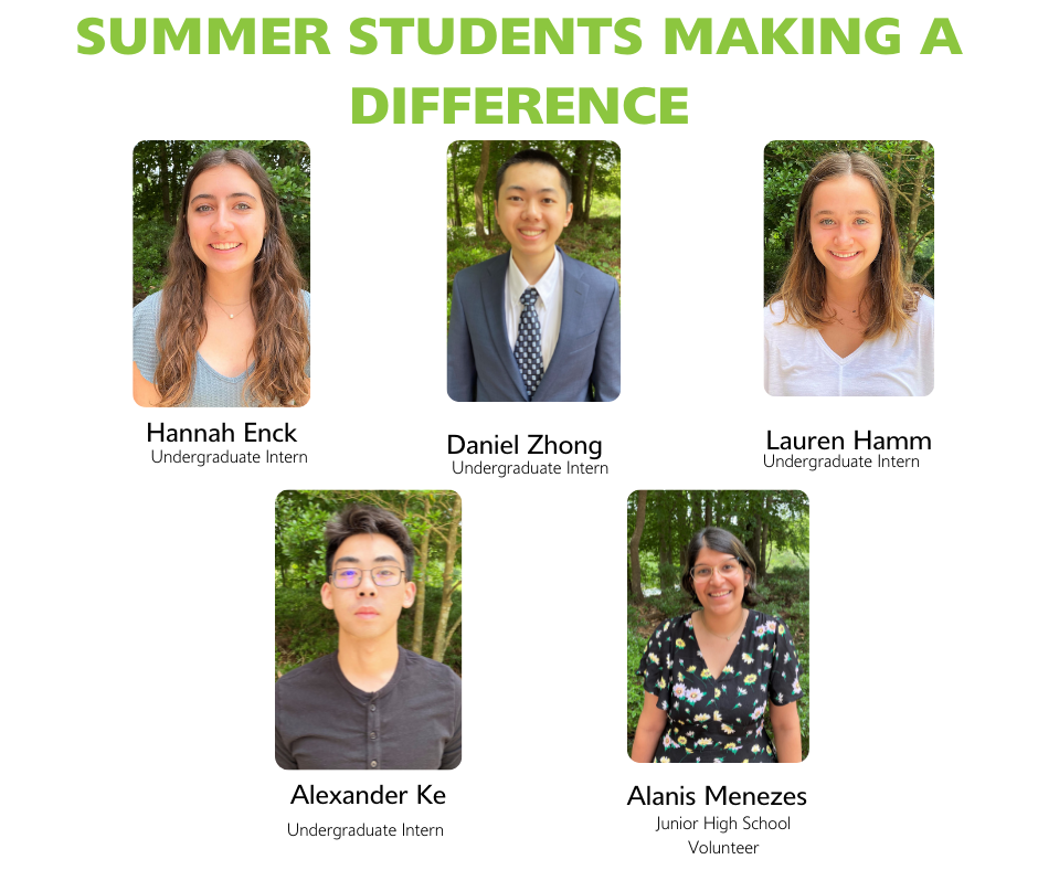 LCI’s Intern Team